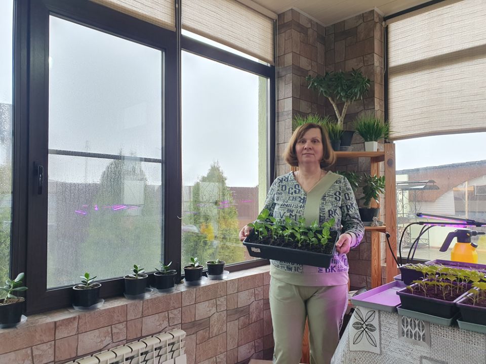 ����������� �������: ����� �� �������� ��� ������ �������?