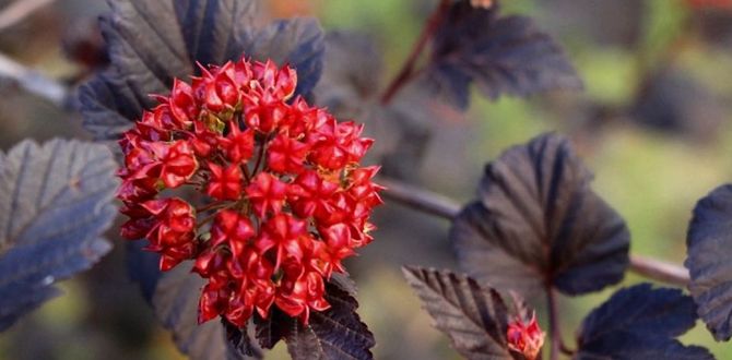 ������������� �������� ��� ������ ����