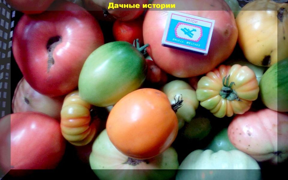 �������� ������: ��� ���������� ��������, ���������� ����������