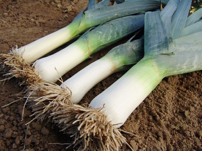 ��� �������: ��������� ����� ��� ������� ����� ������