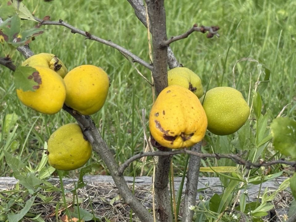 ��������� ���� �� �������� ����