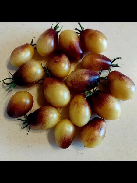 ����� ��������� �����: ��������� ���� � ����������� ��������� ���������