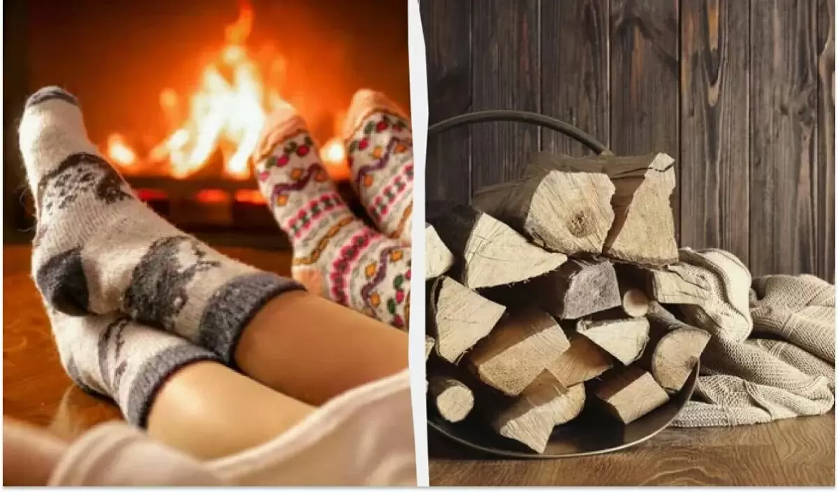 Как выбрать идеальные дрова для обогрева: секреты и советы