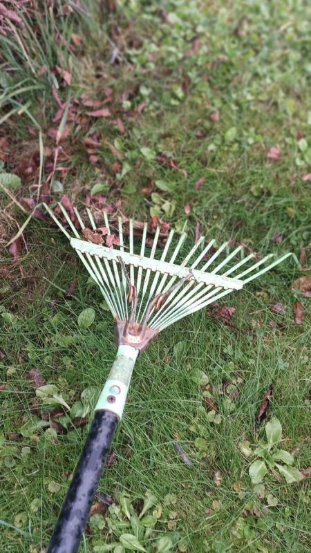 ������ ������ ����: ��� �� ��������� ���������