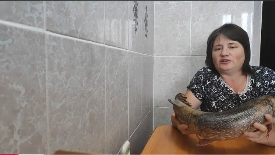 ������ ������� �� ����: ��� ������� ���������� ������