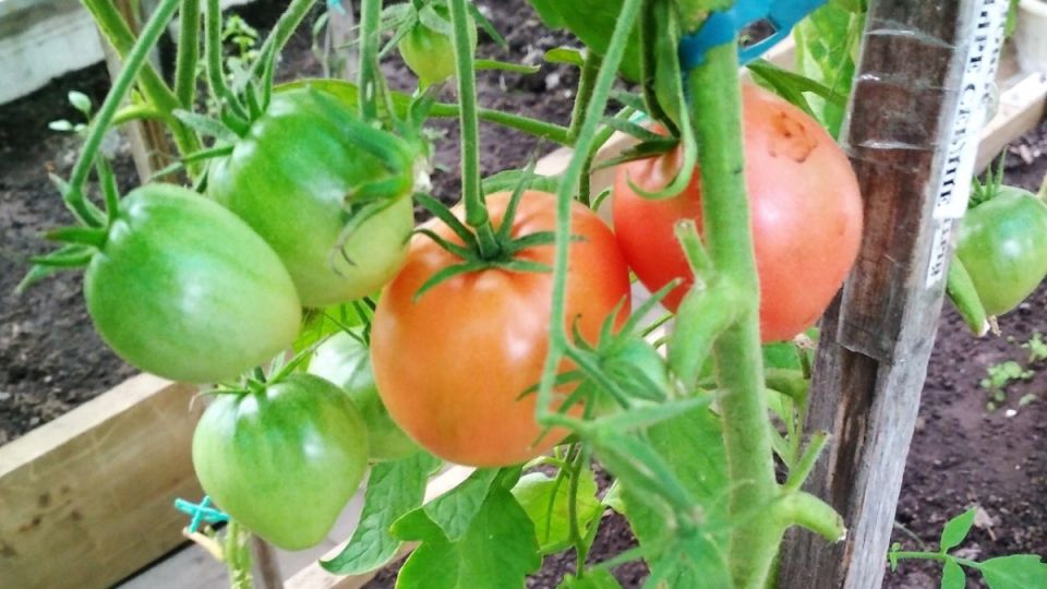 ������-�������: 10 ������ � ������� �� 10 �� � �����