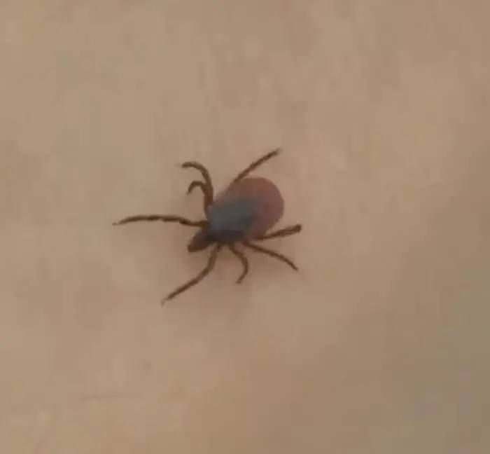 � ��������� ������� ������������ ������ � ���� ���� ������ ��������� �������� �����������