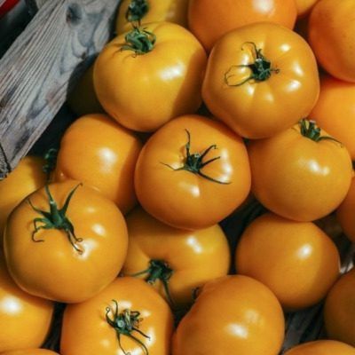 ����� �����: ��������� ������ �� ������������� ������