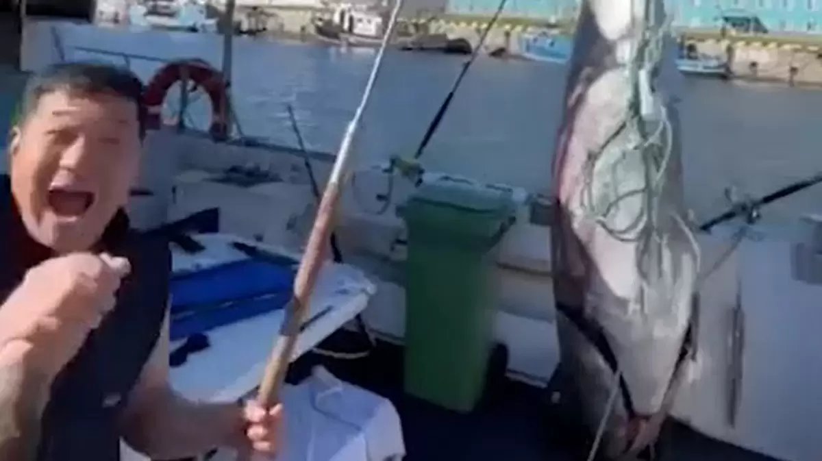 На Курилах поймали огромного тунца за 160 миллионов рублей