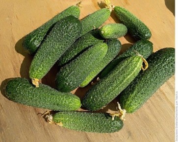 ������ �������� �������: ��������� ����� ��� ������� ������