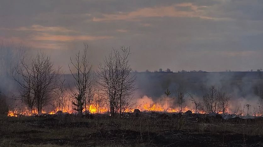 56 ��������� ����� ������ ������ ������ ������ � ��������� �������