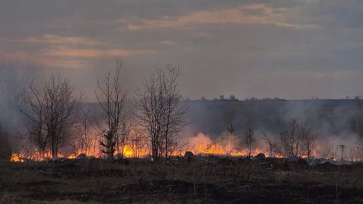 56 мобильных групп готовы тушить лесные пожары в Орловской области