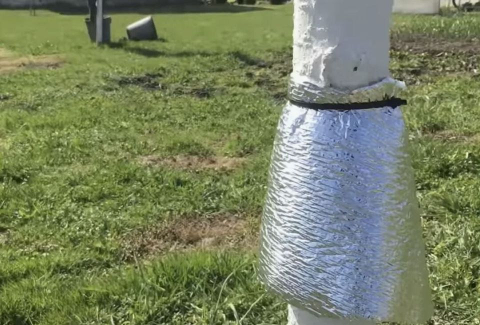 ����� ������: ������ ����� ��� ������ ���� � ������ ������