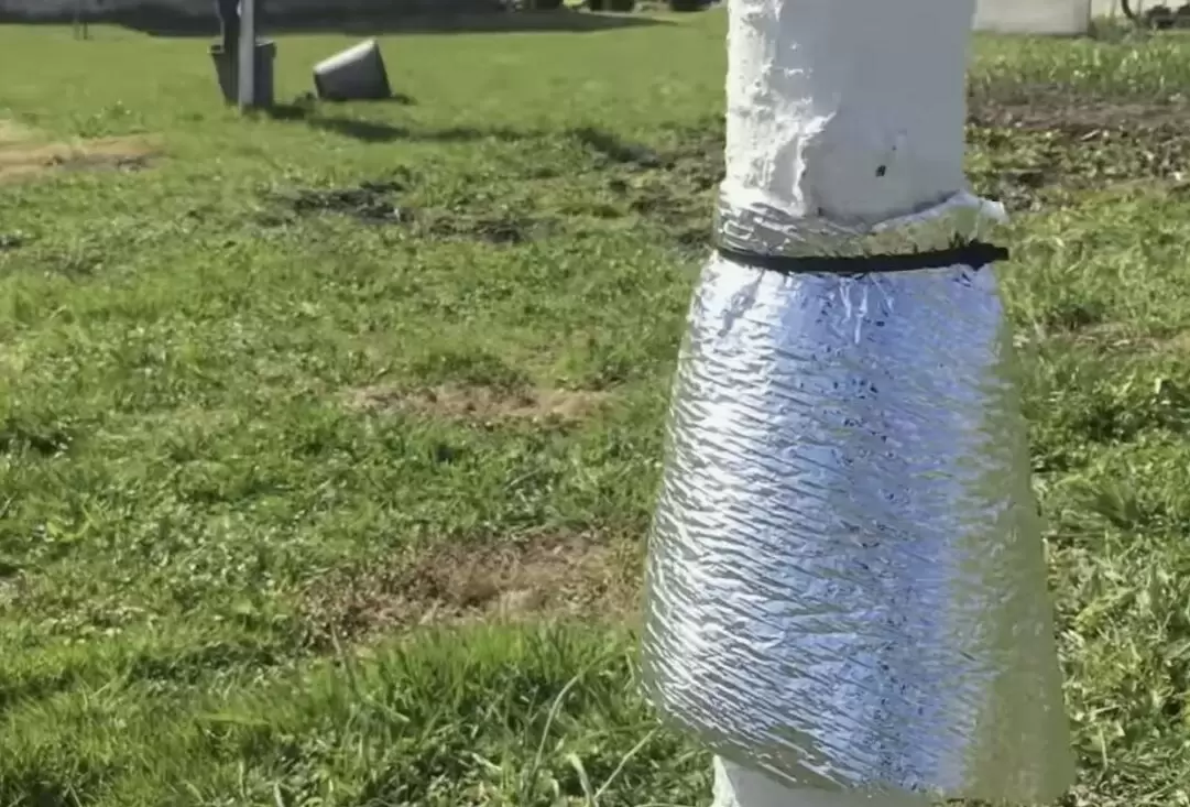 Умная защита: ловчие пояса для вашего сада в зимний период