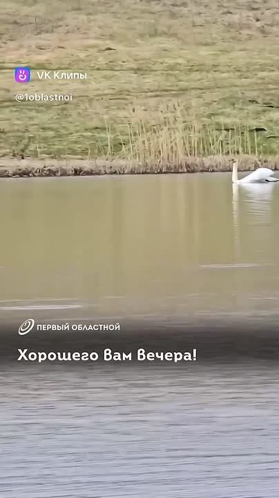 �������������� ����� ���� ��� ��������� � ���������� ������