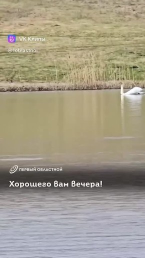 Умиротворяющие кадры снял наш подписчик в Хотынецком районе