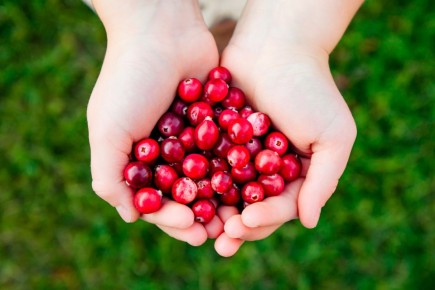 ����� �� �����: �������� ��� �������� ������ ���� �������