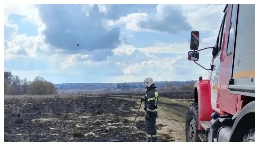 ����������� ������� �������� ����� � ��������� ������