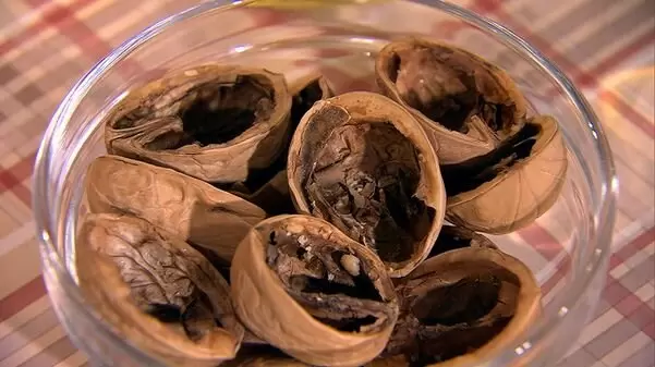 Скорлупа грецких орехов: секреты полезного удобрения для вашего огорода