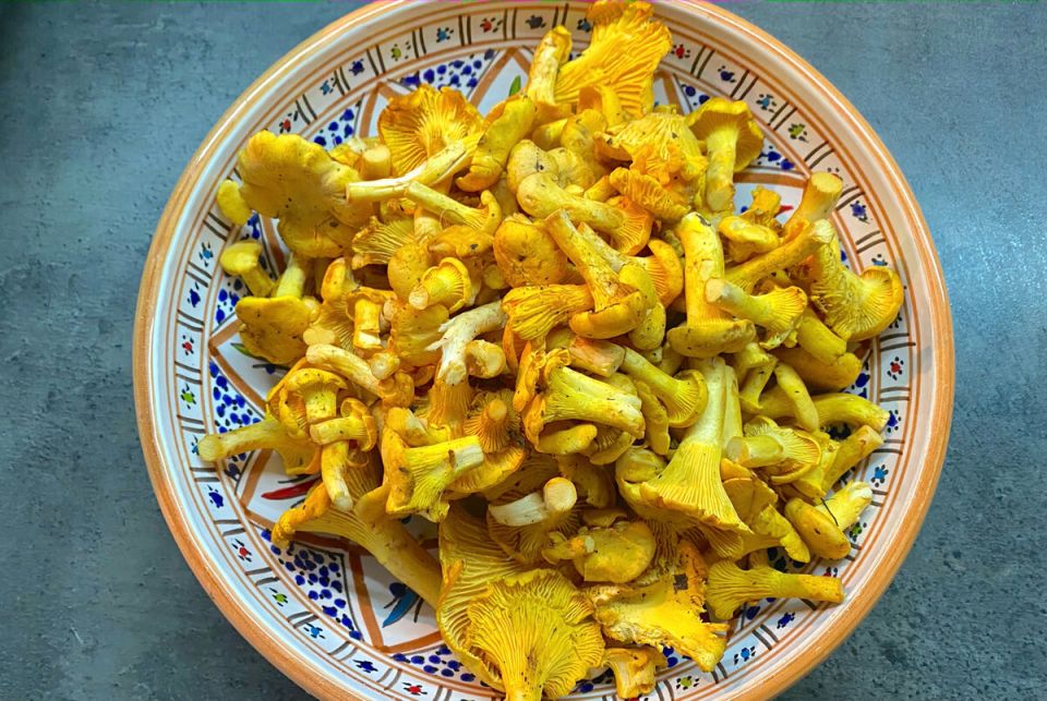 ��� ��������� ��������� �������: �������, ������� �� �� �����