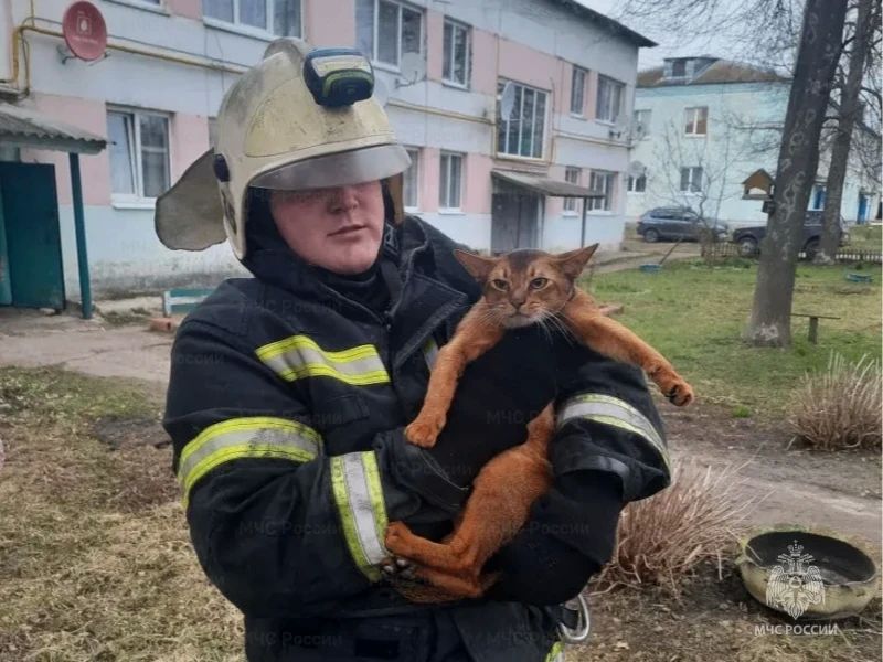 ���� �������� �������: ��������� �� ����� ������ �������� ���������� ������� �������� �������� � ������ �� �����