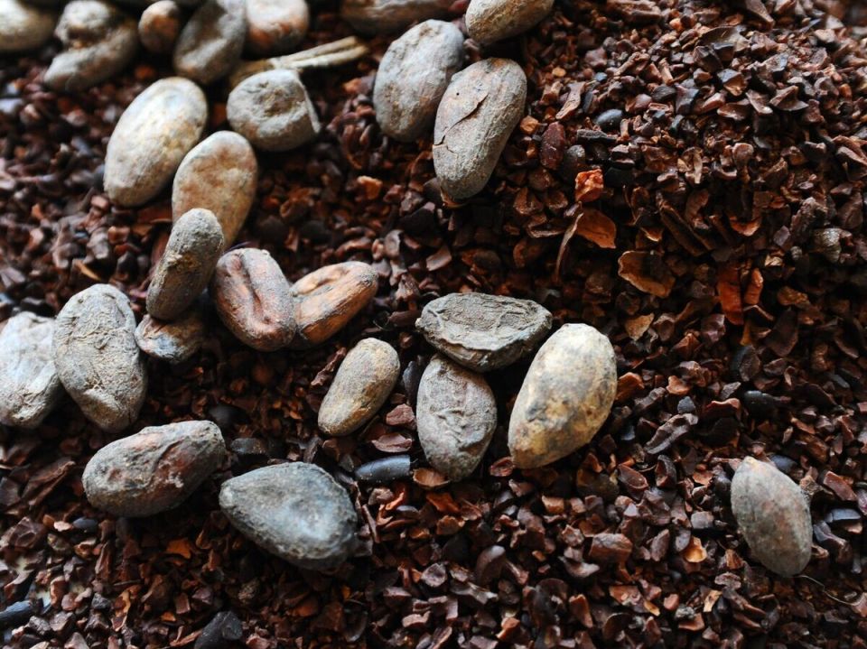 �����-���� ���������� ���� 3900 �������� �� �����