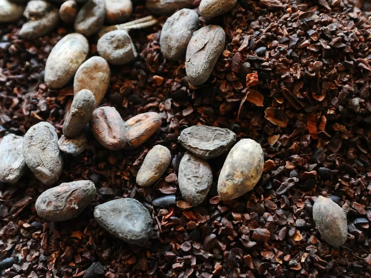 Какао-бобы опускаются ниже 3900 долларов за тонну