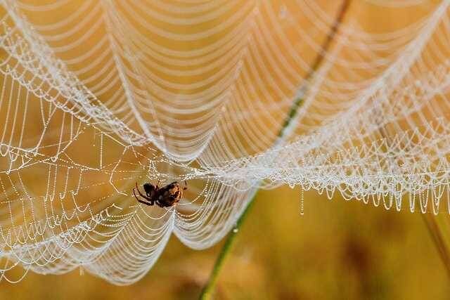 ����� � ����: ��� ������ � ��� ������������� ���������