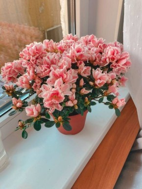 �������������� ��������: ����� � ���� �� ��������������