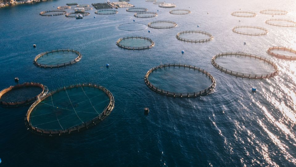 ���� ������������ � ������: ���������� ����� ��������� ��� ������� ������������