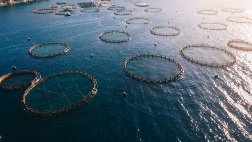 ���� ������������ � ������: ���������� ����� ��������� ��� ������� ������������