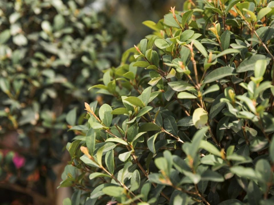 �����: ������� ��� ������? ��� ������, ���� �� ������ ��������� ������ ����