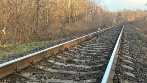 В Орле на перегоне "Кромская – Цон" задержали жителя Средней Азии с наркотиками