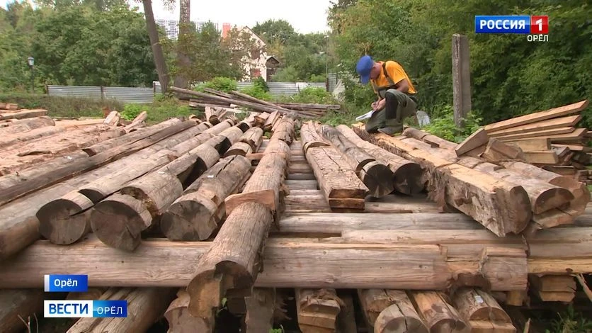 Стройка дома Лизы Калитиной в Орле запланирована на лето