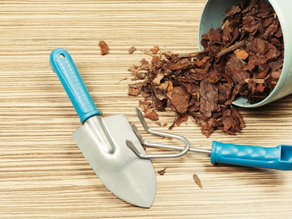 ������: ������� �� ��� �� ����� ����?