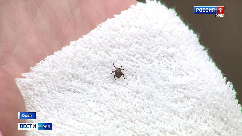 46 ������� ���������� �� ������ ������ � ��������� �������