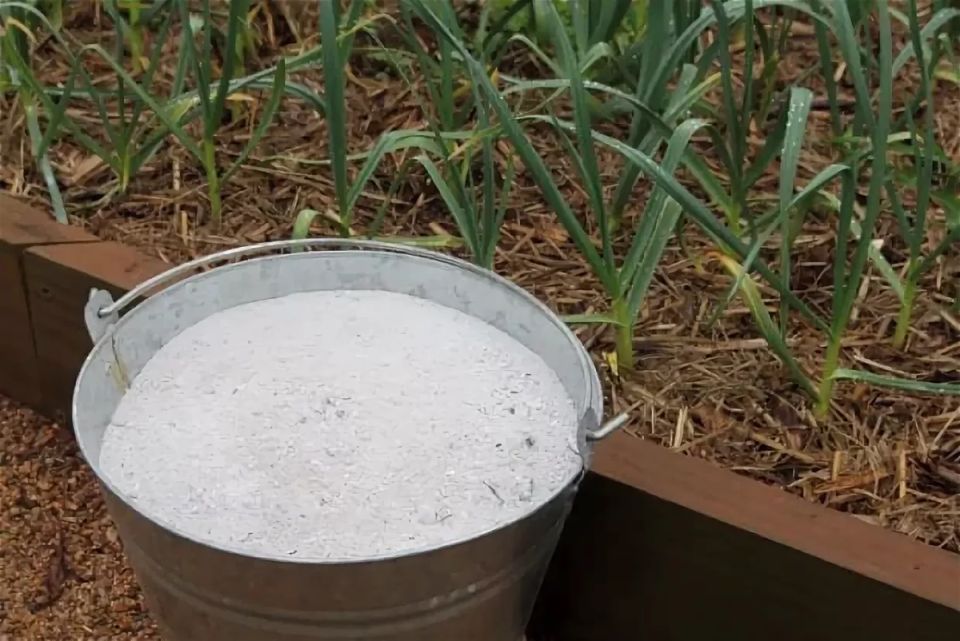 ����� ���� ����� �� ����: ������� �������������