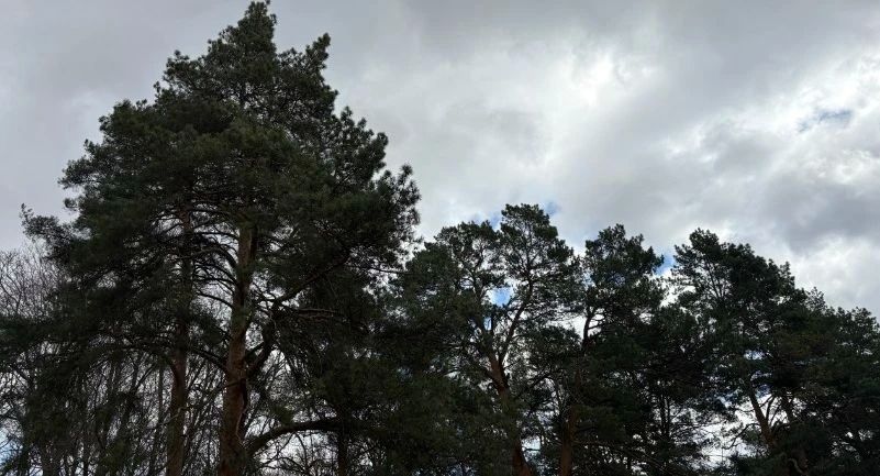 � ���� �� �������� ����� ����� ��������