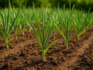 ����������: ��� �������� �������� � ��������� ������ ����� ���� � �������