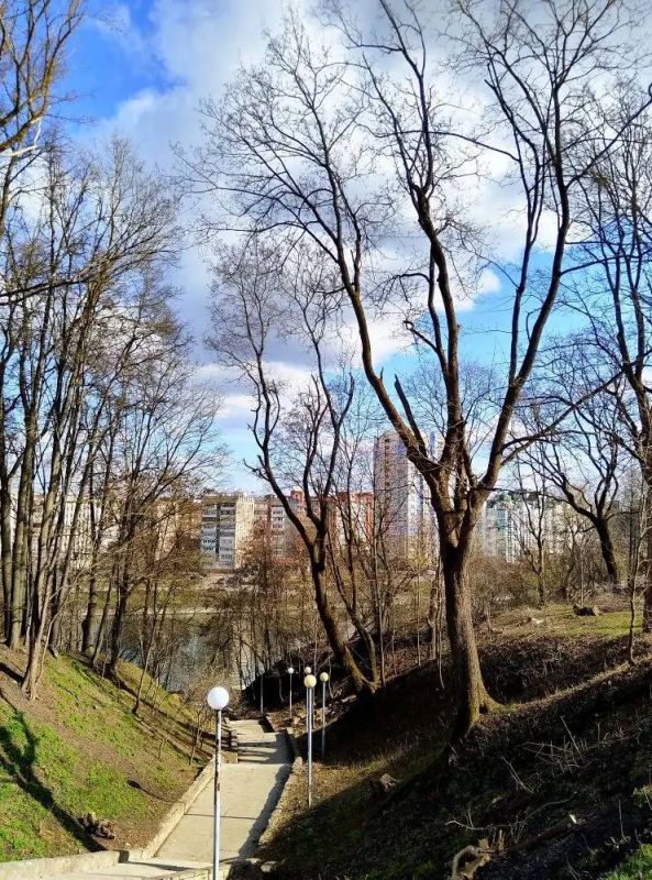 ������ ����, ������!. ������� ��������� ������� ��������� ����� ��� ����� +14�� ����������� �������� 746 �� ��. ��. ����� ���-��������, ���� �� ��������� 3 �/� (���� �������� ���������) ��� ����� � ���