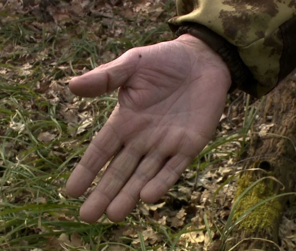 � ���������� ����� ���������