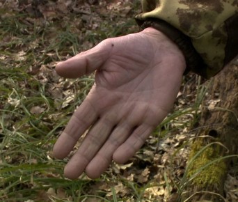 � ���������� ����� ���������