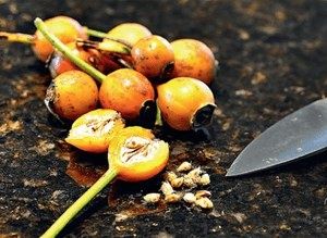 ���� �������� �� �����: ��� ���������� � �������� �������� � ��������� �� ����