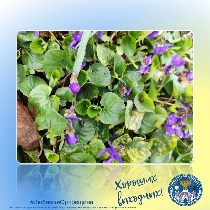 #��������57. #���������������