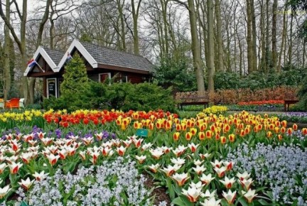 ��������� ����������� ������� ���������