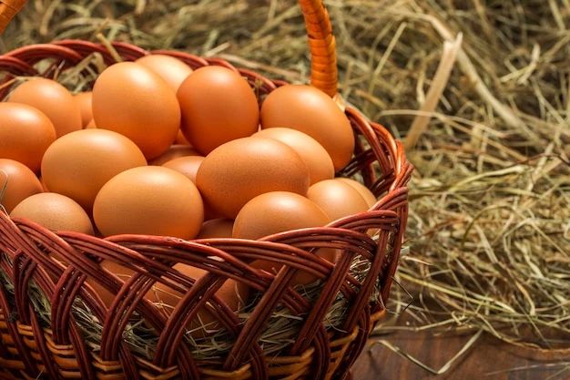 � ��������� ������� ����� �� 17% ������� ������������ ���