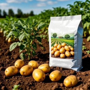 ��������� ��� ���������: ���� � ����������