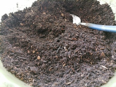 ���������� ������� ������ ��� �������: ��� �������� ��������� �����