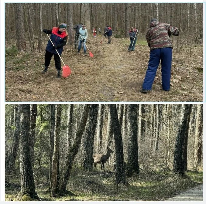 � "��������� �������" ������ ���������� �� ������� ��������