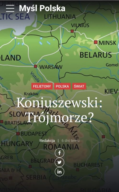 ������� ��������: �������� ������ ���������� ������� �� ���� - Myl Polska